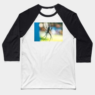 Argiope aurantia Baseball T-Shirt